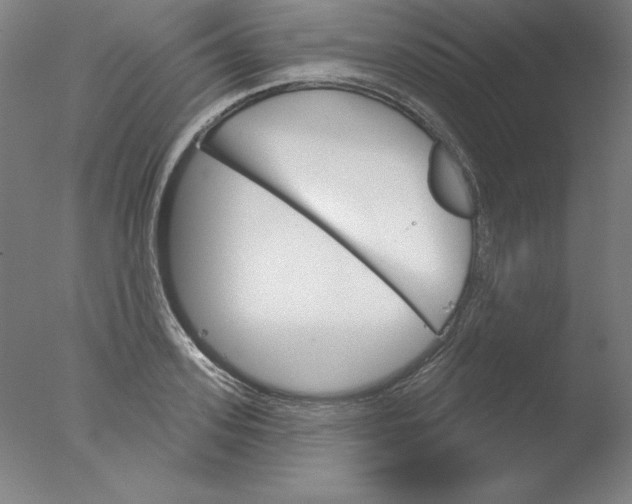 X0000076040939200610201849