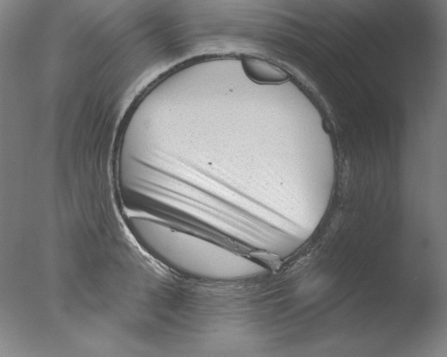 X0000076040943200610201849