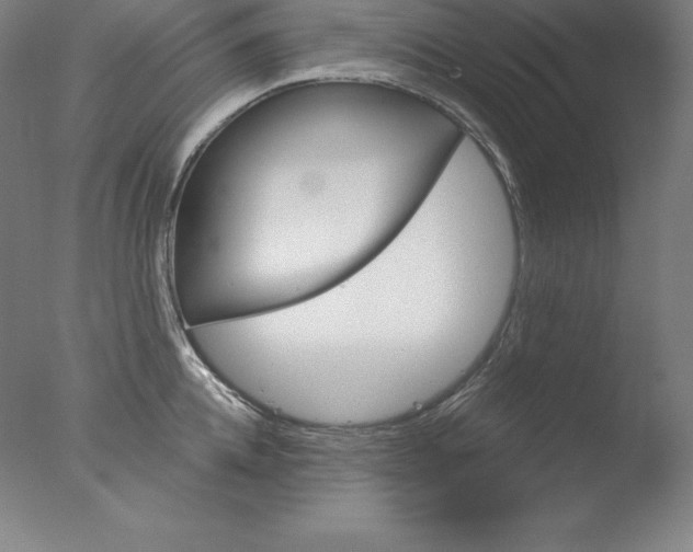X0000076040952200610201850