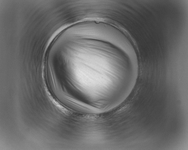 X0000076040955200610201850