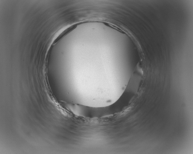 X0000076040956200610201850