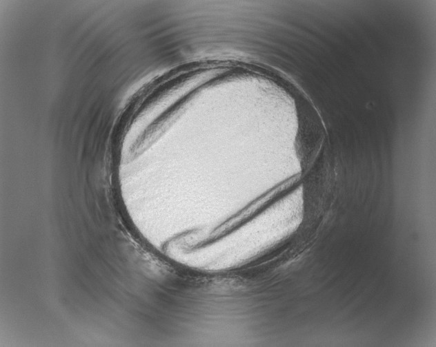 X0000076040979200610201849
