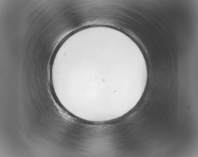 X0000076040988200610201849