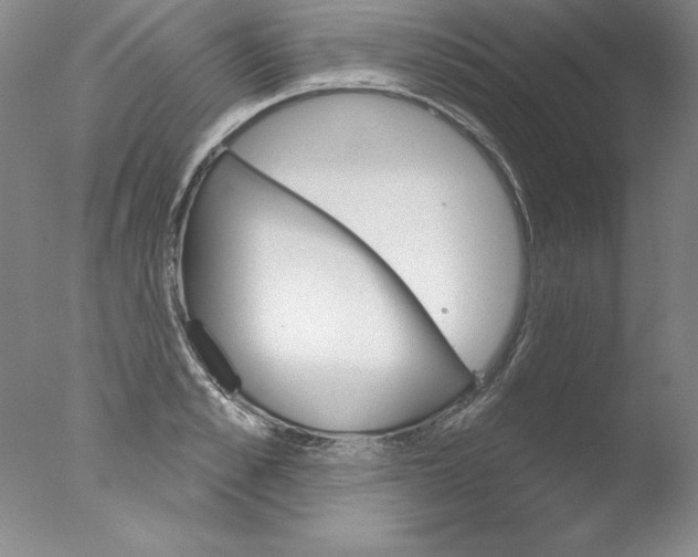 X0000076040989200610201848