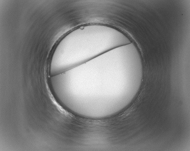 X0000076040991200610201848