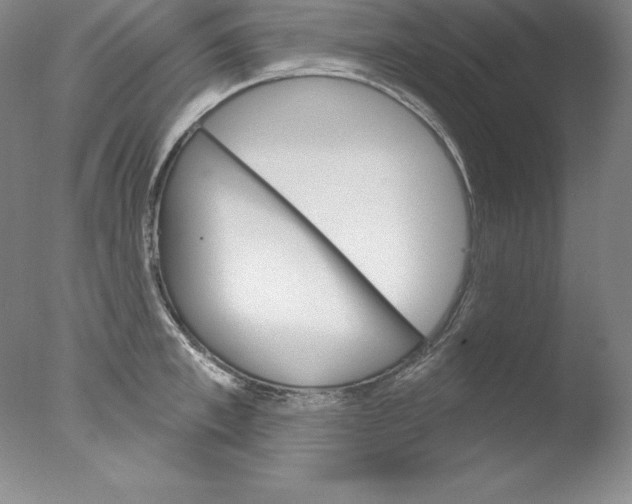 X0000076040997200610201848