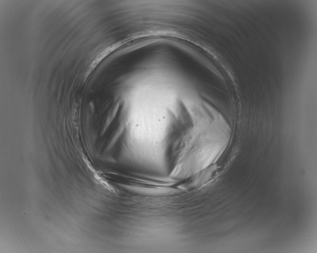 X0000076041001200610201848
