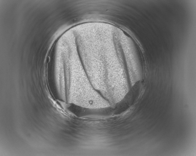 X0000076041004200610201848
