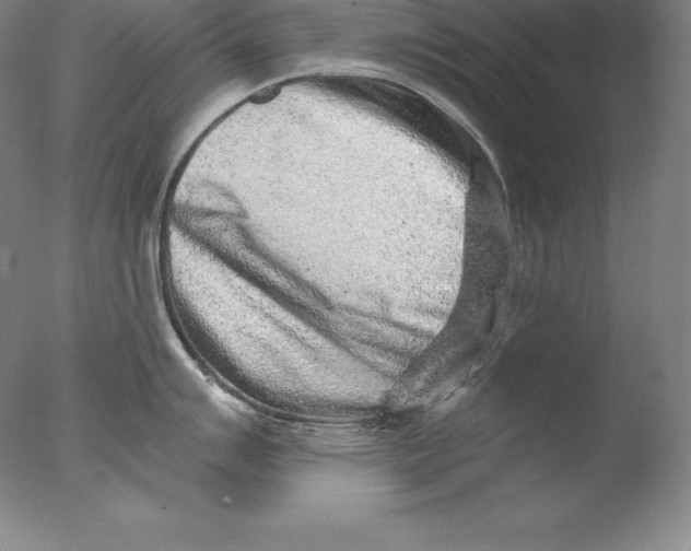 X0000076041007200610201848