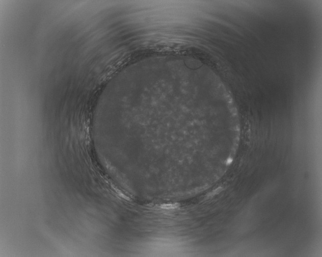 X0000076041013200610201847