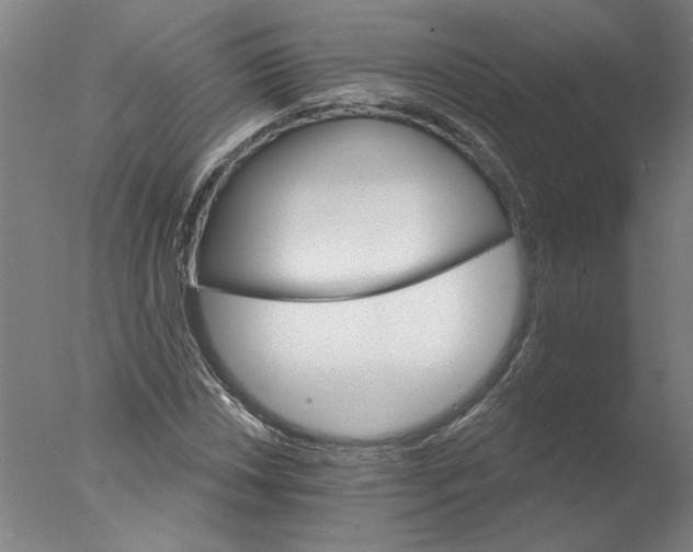 X0000076041018200610201848