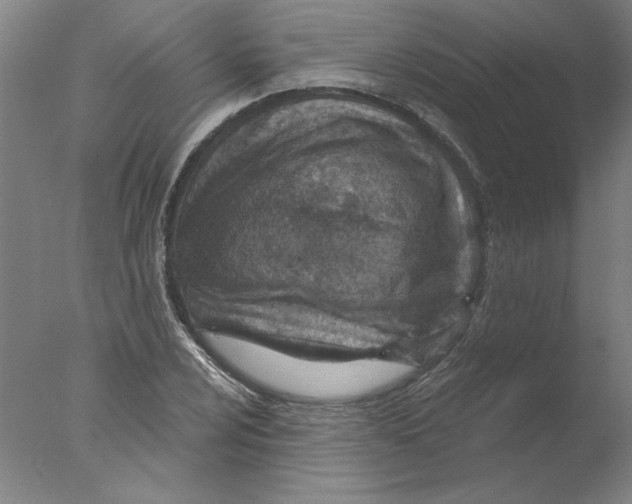 X0000076041024200610201848