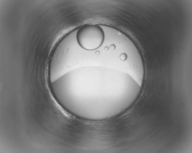 X0000076041040200610201848