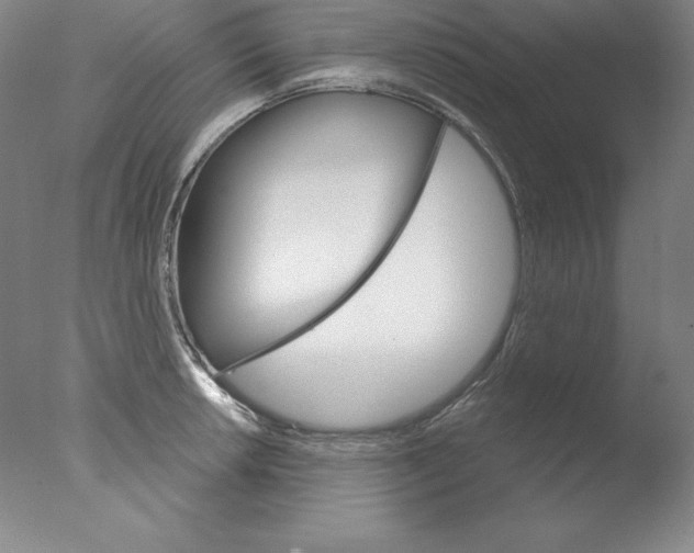X0000076041042200610201848