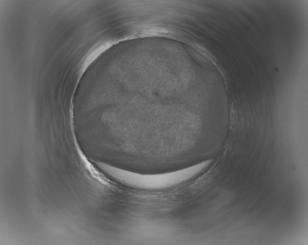 X0000076041047200610201848