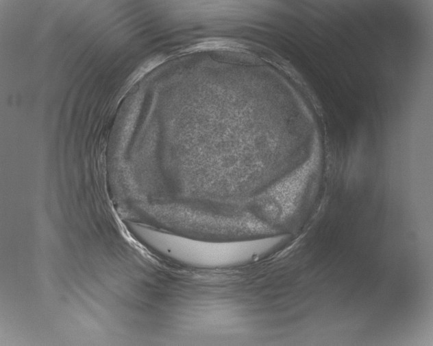 X0000076041049200610201848
