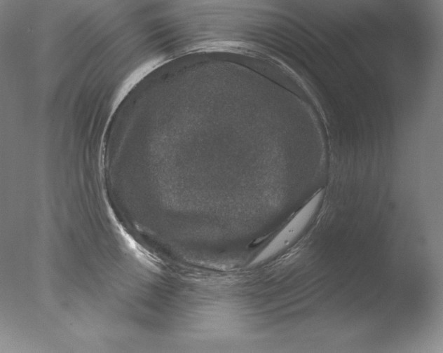 X0000076041050200610201848