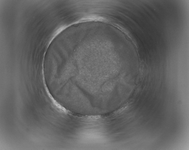 X0000076041055200610201848