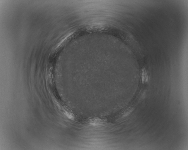 X0000076041059200610201847
