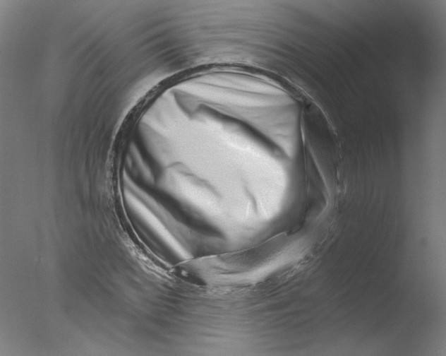X0000076041068200610201847