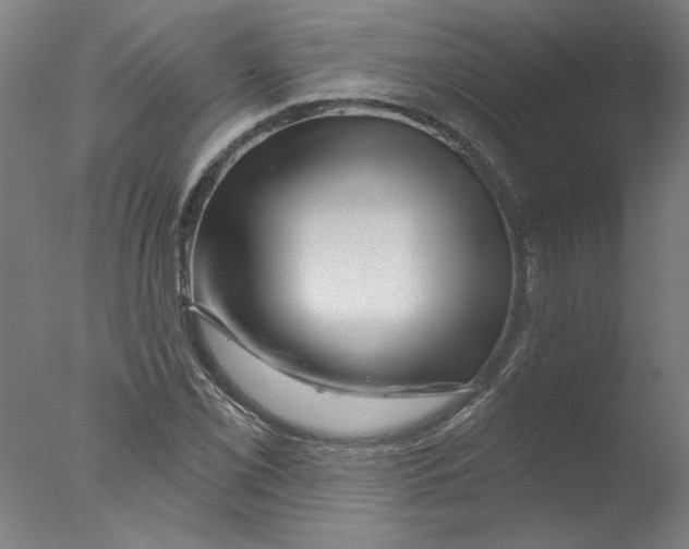 X0000076041069200610201847