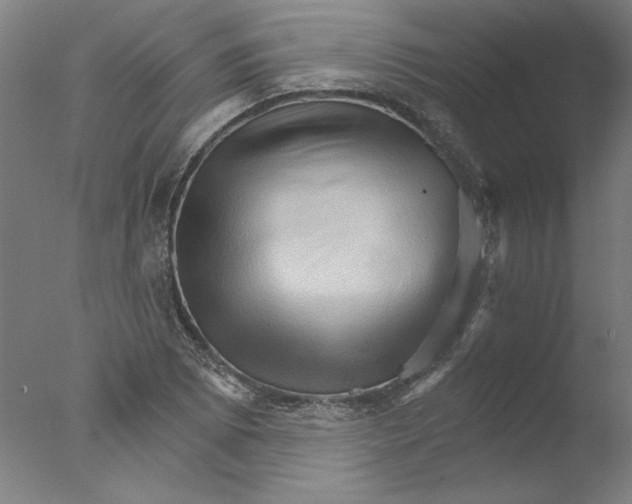 X0000076041073200610201847