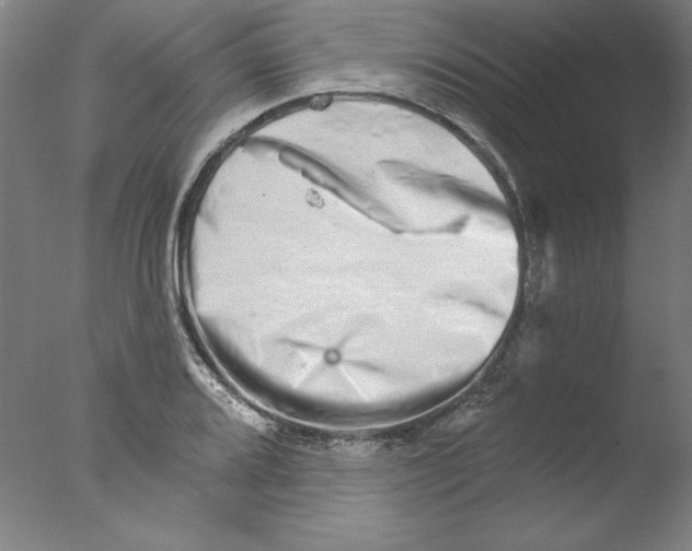 X0000076041080200610201847