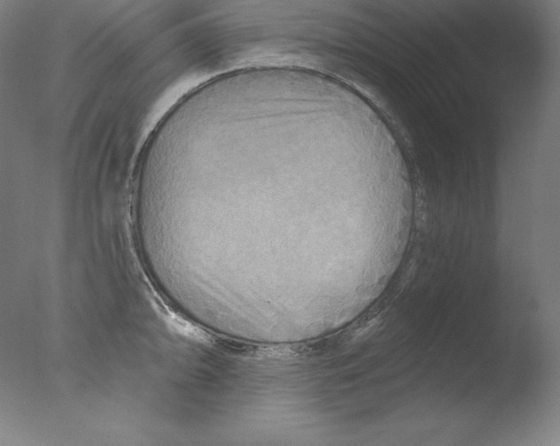X0000076041094200610201847