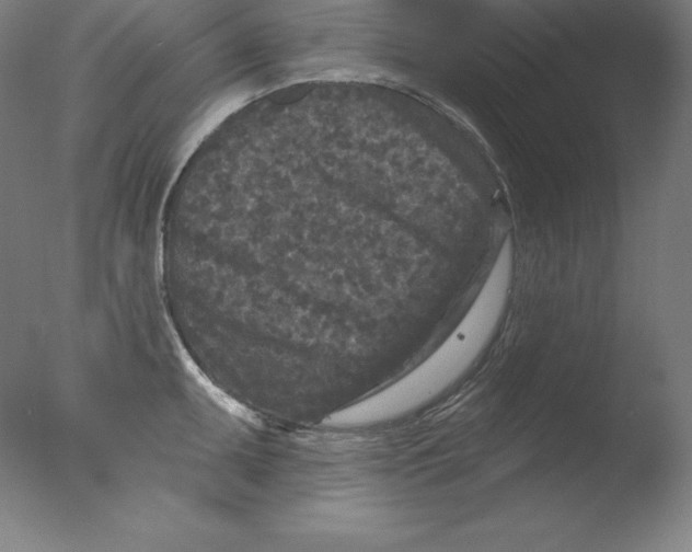 X0000076041095200610201847