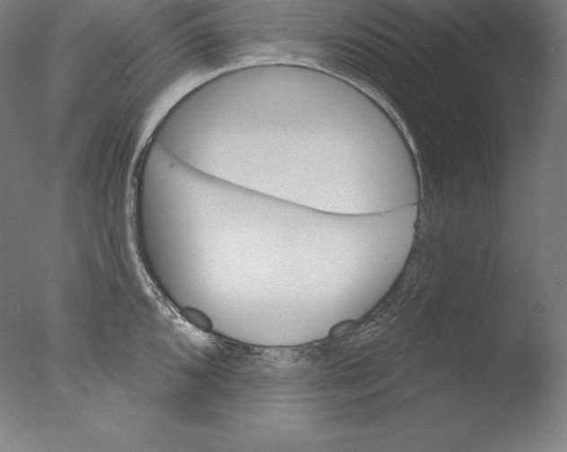 X0000076041096200610201847