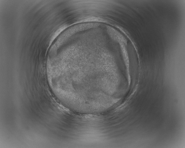 X0000076041097200610201847