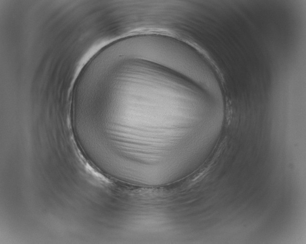 X0000076041102200610201847