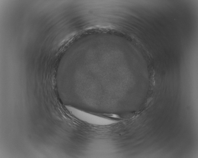 X0000076041110200610201846