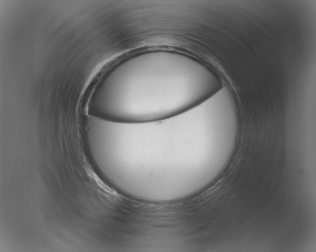 X0000076041116200610201846