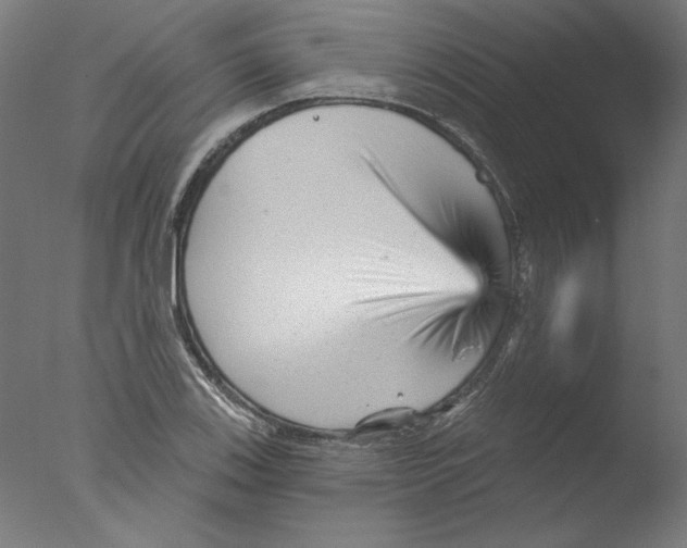 X0000076041123200610201846
