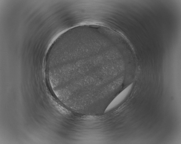 X0000076041124200610201846