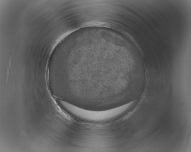 X0000076041125200610201846