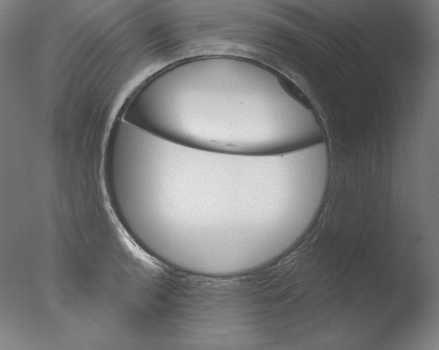X0000076041136200610201846