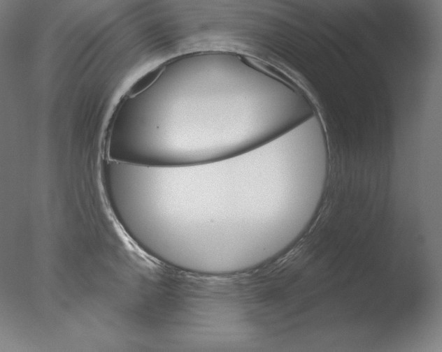 X0000076041144200610201846