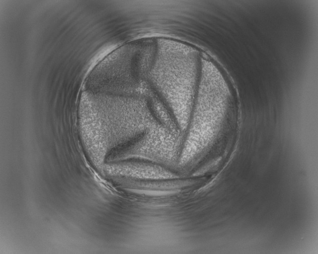 X0000076041145200610201846