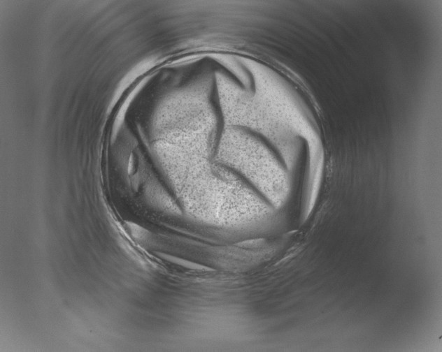 X0000076041146200610201846
