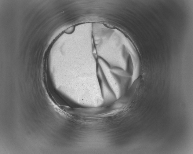 X0000076041147200610201846