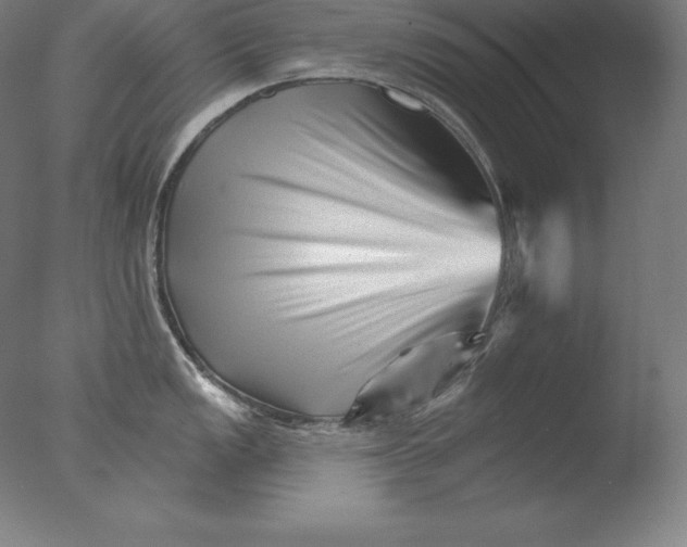 X0000076041149200610201846