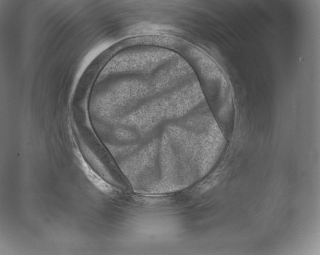 X0000076041152200610201847
