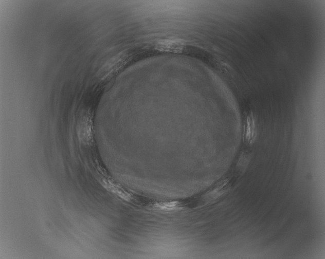 X0000076041154200610201846