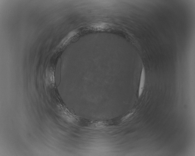 X0000076041155200610201846
