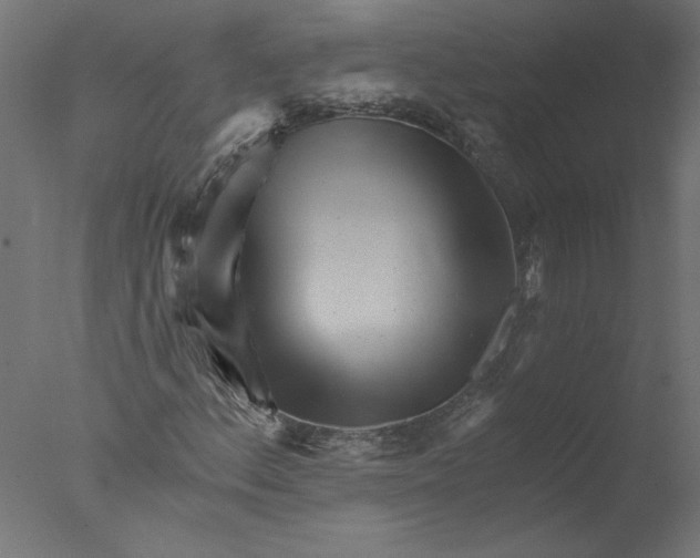 X0000076041156200610201846