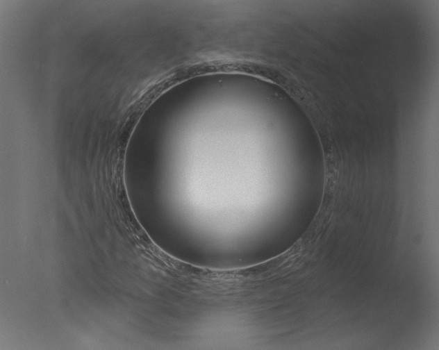 X0000076041157200610201846