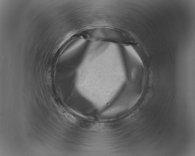 X0000076041162200610201846