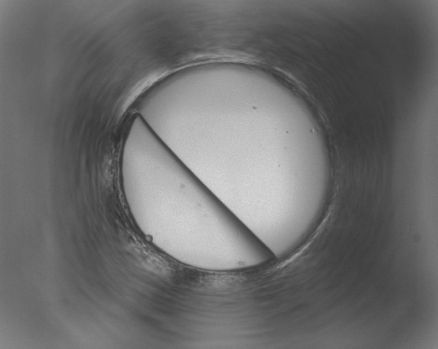 X0000076041163200610201846
